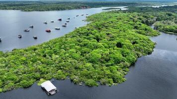 acima amazonense floresta tropical dentro manaus amazonas dentro brasil. famoso cena. video