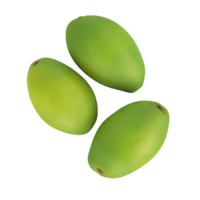 Decorative green mango for presentation png