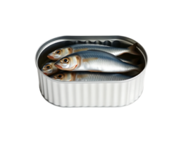 Canned Sardines A Realistic Closeup png
