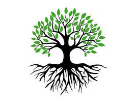 Trees and root with green leaves look beautiful and refreshing. Tree and roots symbol and logo style. vector