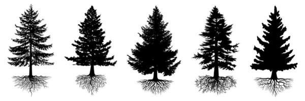 collection isolated pine trees and roots Symbol silhouette style. vector