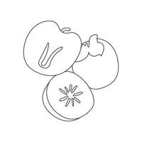 Illustration line art persimmon simple with blank background vector