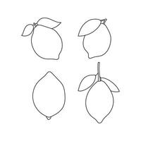 Illustration line art lemon simple with blank background vector