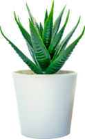 An artificial flower with green leaves in a pot png