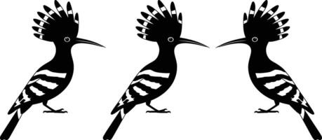 Three silhouette illustrations of hoopoe birds a distinctive and striking black and white animal design vector