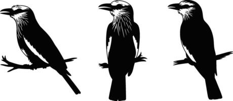 Stylized silhouette illustration of three birds perched on branches in various poses vector