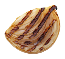 Grilled onion half with grill marks isolated on transparent background png