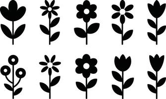 black and white flowers and leaves on a white background vector