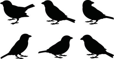 Silhouette collection of six different sparrow bird poses suitable for design and decorative purposes vector