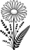 Elegant black and white illustration of a daisy flower with supporting foliage and botanical elements vector