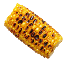 Roasted corn on the cob with charred golden kernels and grill marks isolated on a transparent background png