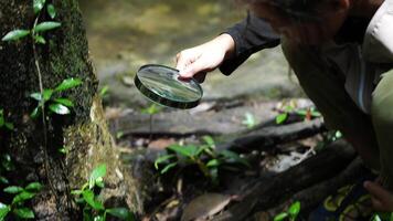A happy little girl is exploring in the forest and looking for insects with a magnifying glass. Adventure tourism and learning concept. video