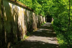 Green corridor enveloped by lush trees and a weathered stone wall inviting exploration in a tranquil setting photo