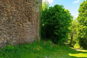 Exploring the lush greenery surrounding an ancient stone wall under a bright blue sky photo
