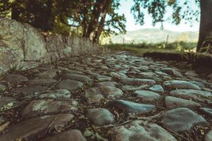 Cobblestone pathway winds through lush greenery under a clear blue sky in a tranquil countryside setting photo