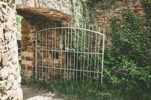 Rustic iron gate surrounded by vibrant greenery at an ancient stone structure in the heart of a sprawling landscape photo
