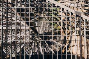 Intricate patterns of light and shadow dance through a woven metal grid on a sunny afternoon in an urban garden oasis photo