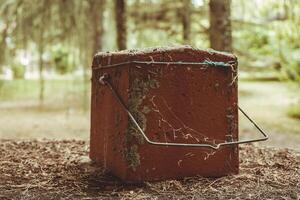 Weathered clay box resting on a forest floor surrounded by lush greenery under soft, diffused sunlight on a serene afternoon photo