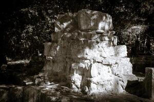 Ancient stone ruins illuminated by soft sunlight in a lush forest setting photo