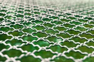 Intricate patterns of greenery peeking through a weathered metal mesh in a tranquil outdoor setting photo