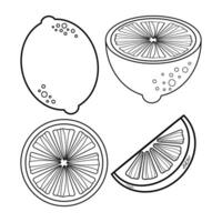 Set of four black and white lemon outlines including whole, half, and two slices. Citrus fruit line art collection. vector