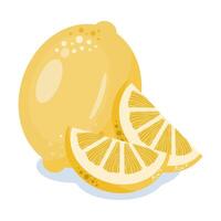 Illustration of a whole yellow lemon with two lemon slices. Fresh citrus fruit graphic. vector