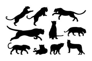 panther leopard silhouette image collection vector