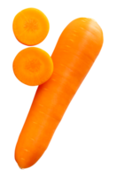 Side view of one fresh orange carrot root with slices in circles in stack isolated with clipping path in file format png