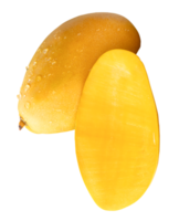 A ripe yellow mango fruit with half and water droplets in stack isolated with clipping path in file format png
