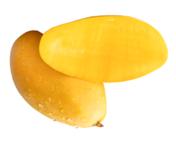Ripe yellow mango fruit with half and water droplets in stack isolated with clipping path in file format png