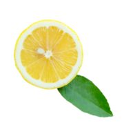 Front view of ripe yellow lemon fruit in one half with green leaf isolated with clipping path in file format png