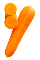 Single fresh orange carrot root with slices in circles in stack isolated with clipping path in file format png