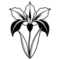 Iris Silhouette On White Background vector
