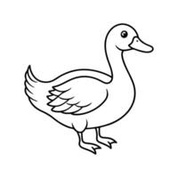 Duck On White Background vector