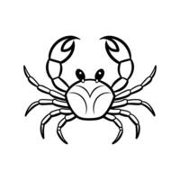 Fiddler Crab On White Background vector