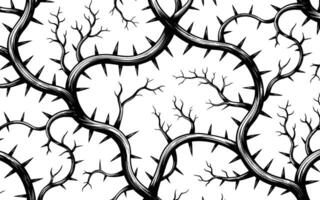 Detailed black and white seamless pattern of thorny branches with spikes and subtle details vector