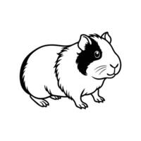 Guinea Pig On White Background vector