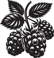 A monochrome depiction of blackberries with leaves on a white background art vector