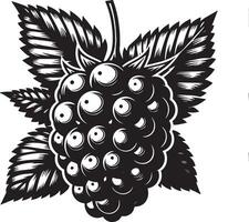 Monochrome illustration of a blackberry with leaves on a white background image art vector