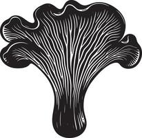 Isolated black and white illustration of a chanterelle mushroom with wavy edges vector
