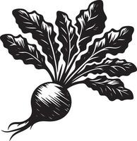 A black and white illustration of a beet with leaves and roots on a white background vector