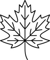 Maple Leaf Outline - Clean Line Art Illustration for Thanksgiving and Autumn Designs vector