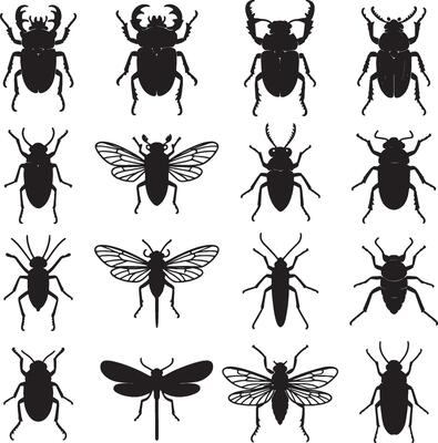 Insect silhouette collection beetles and winged bugs graphic set illustration