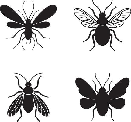 Diverse collection of insect silhouettes black and white illustration