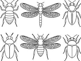 Six line drawings of various insects bugs vector