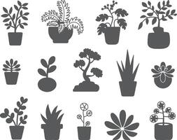 various plants in pots on a white background vector