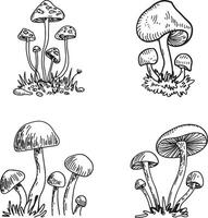 Hand drawn sketch of various mushrooms in grass vector