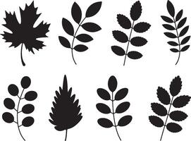 Eight black silhouettes of various leaves and branches vector