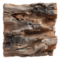 Petrified wood texture showcases unique fossilized appearance with intricate patterns and earthy tones, evoking sense of natural history and timelessness png