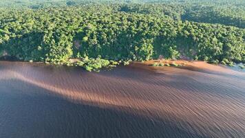 aéreo Visão do amazonense floresta às manaus amazonas brasil. cênico cena. video